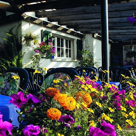 Hotel Garni Sonne Münsterlingen Exterior foto